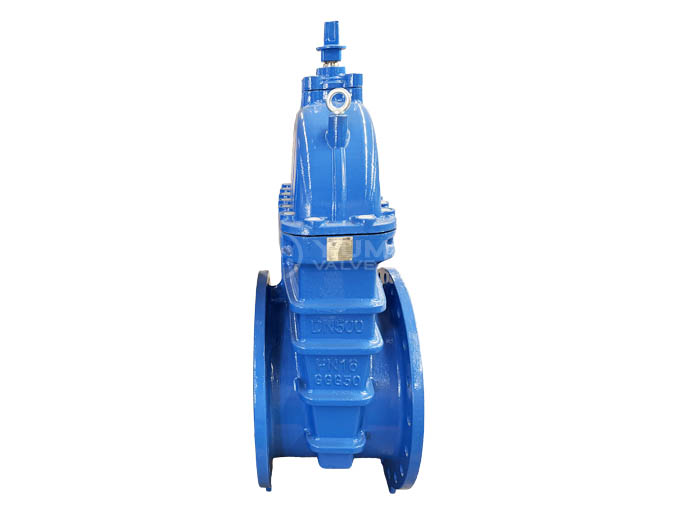 Big size ductile iron material flange gate valve